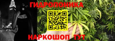 молекула духа Анапа
