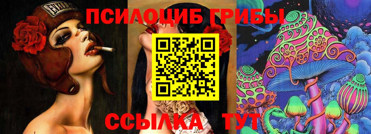 Белгород  Псилоцибиновые грибы GOLDEN TEACHER  Вход с VPN 